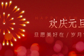 每年新年必火的红利项目，视频号祝福类视频玩法，多种变现月入万元！