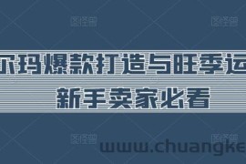 沃尔玛爆款打造与旺季运营，新手卖家必看