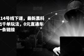 拼多多6月14号线下课，最新黑科技起爆日出千单玩法，0元直通车如何起飞一条链接