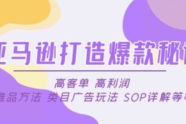 （4879期）亚马逊打造爆款秘诀：高客单 高利润 推品方法 类目广告玩法 SOP详解等等