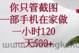 你只管截图，一部手机在家做，一小时120.一天5张【揭秘】