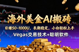 （17143期）【海外美金AI搬砖】Vegas交易技术+聪明软件，日赚50-1000U，长期稳定，小白轻松上手。