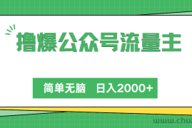 （10310期）撸爆公众号流量主，简单无脑，单日变现2000+