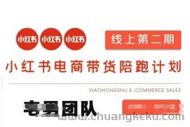 小红书电商带货课2期，月利润20个的小红书电商的有货源，无货源，虚拟产品，付费投流等整套玩法