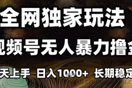 年底最新独家视频号无人直播撸礼物，小白也能轻松日入1k+，长期稳定，可批量复制【揭秘】