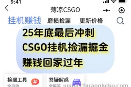 12月年底抓紧最后一个月，用CSGO游戏挂G捡漏掘金賺钱掘金，一部手机轻松日入5张+【揭秘】
