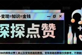 （5311期）最新探探全自动点赞引流，配合男粉变现思路轻松日赚500+【脚本+教程】