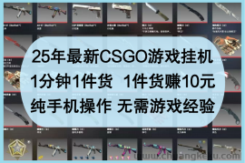 25年最新CSGO游戏挂机，1分钟1件货，1件货赚10元，纯手机操作，无需游戏经验
