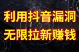 利用抖音链接漏洞，无限拉新赚钱【漏洞原理+操作流程】【揭秘】