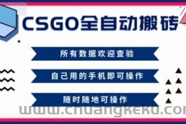 CSGO全自动搬砖，年底钱回家好项目，当天可拿到结果，新手小白轻松月入1W+【揭秘】