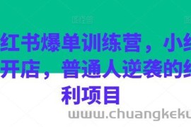 小红书爆单训练营，小红书开店，普通人逆袭的红利项目