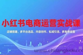 （16695期）小红书电商运营实战课，店铺搭建、多平台选品、内容创作、私域引流、多账号运营等玩法