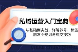 （13519期）私域运营入门宝典：从基础到实战，详解养号、标签、朋友圈规划与成交技巧