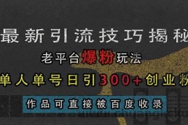 （13445期）最新引流技巧揭秘，老平台爆粉玩法，单人单号日引300+创业粉，作品可直…