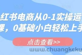 小红书电商从0-1实操运营课，0基础小白轻松上手