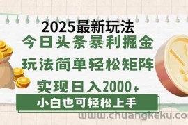 （14120期）今日头条2025最新玩法，思路简单，复制粘贴，轻松实现矩阵日入2000+