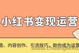 （13609期）小红书变现运营，IP打造、内容创作、引流技巧，助你成为运营高手