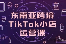（14390期）东南亚跨境TikTok小店运营课，掌握店铺设置与流量转化核心技巧