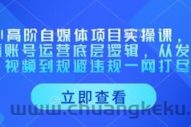 AI高阶自媒体项目实操课，讲透账号运营底层逻辑，从发布视频到规避违规一网打尽