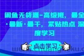 闲鱼无货源-高级班，最全·最新·最干，紧贴热点 深度学习
