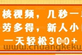 最新审核视频，几秒一单，多劳多得，新人小白一天轻松3张【揭秘】