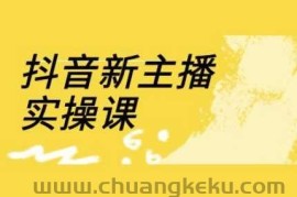 抖音新主播实操课，直播间流量运营线上实操课(18节)
