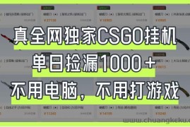 真全网独家CSGO挂机，单日捡漏1000+，不用电脑，不用养号
