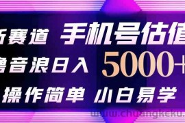 （10154期）抖音不出境直播【手机号估值】最新撸音浪，日入5000+，简单易学，适合…