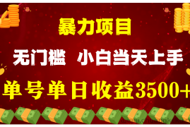 闷声发财项目，一天收益至少3500+，相信我，能赚钱和会赚钱根本不是一回事