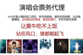 （11272期）演唱会票务代理，2024年最火爆风口项目，全网最低的票价，小白一分钟上…