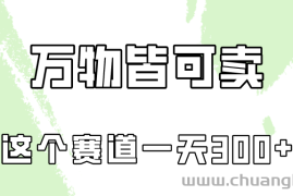 万物皆可卖，小红书这个赛道不容忽视，实操一天300！