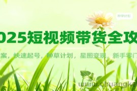 2025短视频带货全攻略：爆款文案，快速起号，种草计划，星图变现，新手零门槛上手