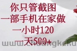 你只管截图，一部手机在家做，苹果安卓都可以，一小时120，一天5张+【揭秘】