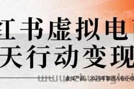 小红书虚拟电商14天变现训练营，虚拟产品，2025年普通人在小红书最后的搞钱机会
