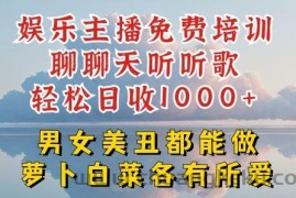 娱乐主播免费培训聊聊天听听歌轻松日收1K+，男女美丑都能做萝卜白菜各有所爱【揭秘】