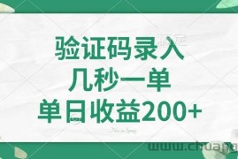 （14221期）验证码录入，几秒一单，单日收益200+