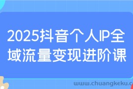 2025抖音个人IP全域流量变现进阶课：选爆品、抖音付费投流、千川投流实操及优化等