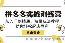 拼多多实战训练营，从入门到精通，海量玩法教程，助你轻松起店盈利